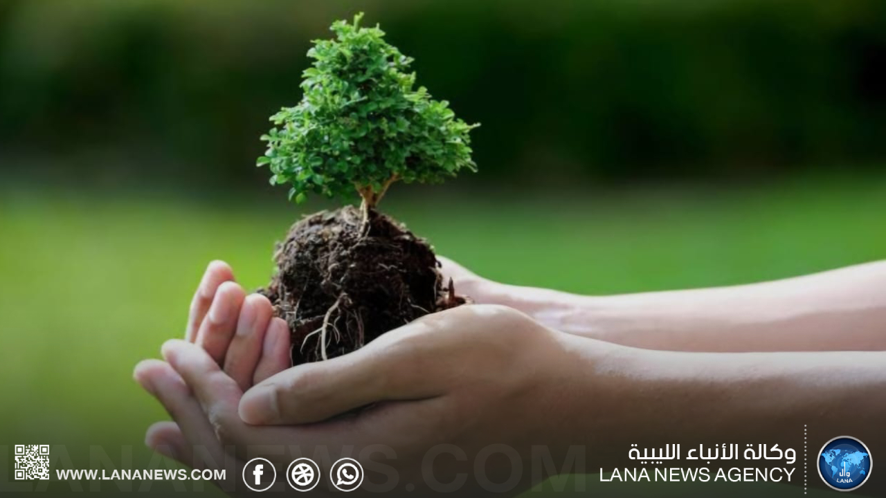 استعدادات لإطلاق حملة وطنية للتوعية بأمراض الأشجار المثمرة
