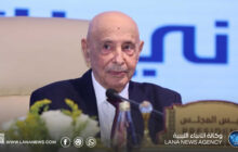 رئيس المجلس البرلماني الآسيوي الأفريقي يتلقى ترشيحي الكونغو وفلسطين للمجلس التنفيذي