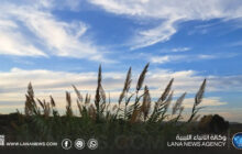 أجواء معتدلة على أغلب المناطق وارتفاع نسبي للحرارة بالشمال الغربي