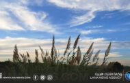 أجواء مستقرة نسبيًا على أغلب مناطق ليبيا