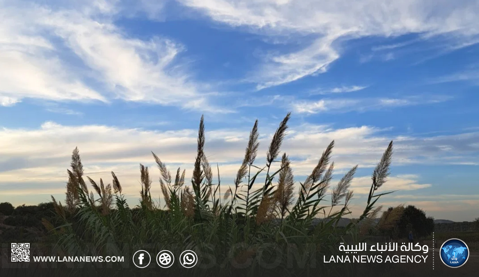 طقس معتدل على معظم مناطق البلاد وارتفاع نسبي للحرارة غدًا على الشمال الغربي