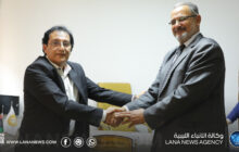 الهيئة العامة للخيالة تبدأ حصر أملاكها تمهيدًا لاستردادها