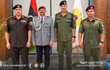 لجنة 3+3 تبحث مع الملحق العسكري الألماني التنسيق بشأن 