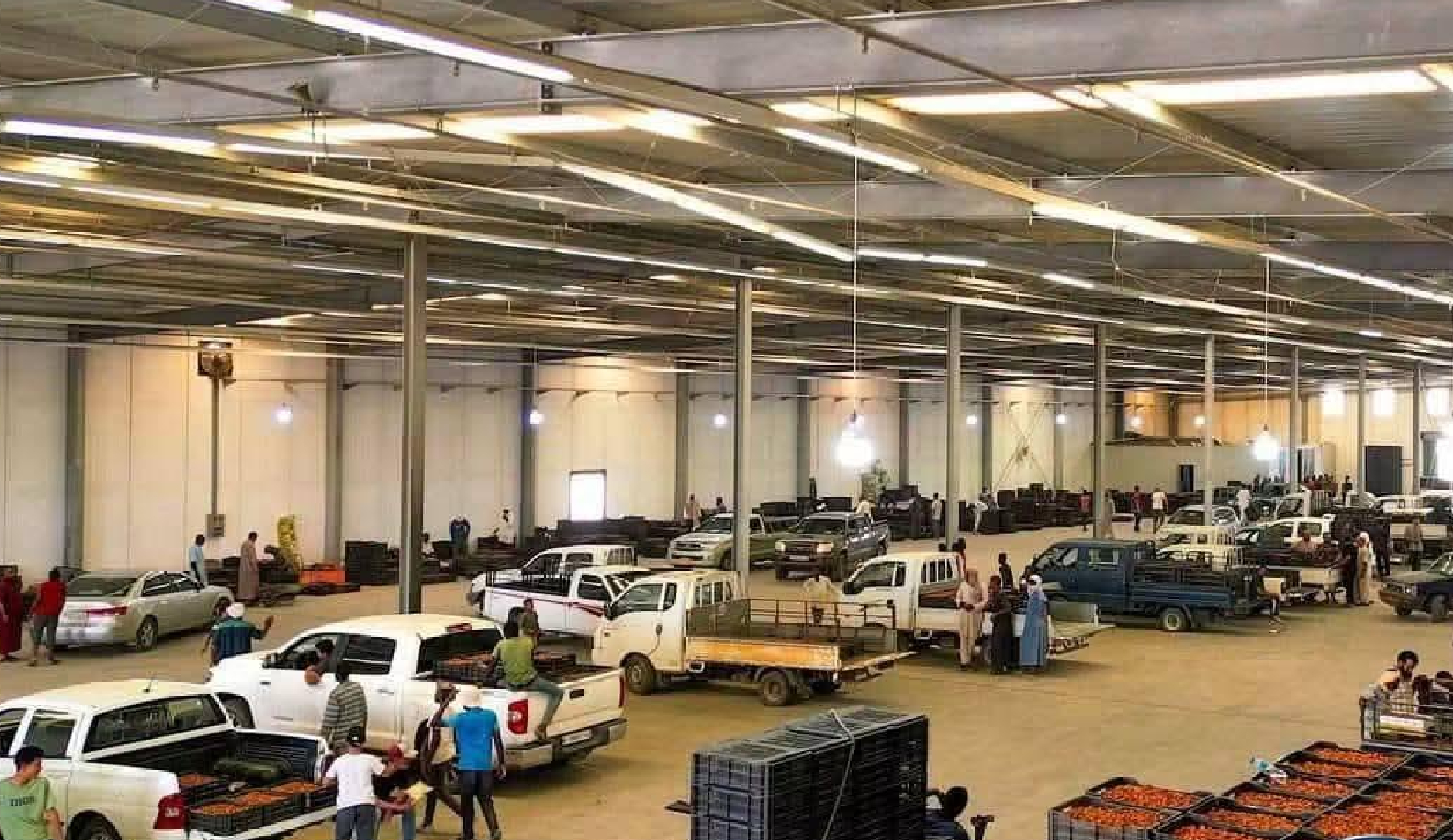 أسواق تمور الجفرة تستعرض إنتاج الواحات وتنوع أصنافها