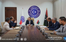وزير الخارجية يبحث مع القنصل المغربي تسهيل أوضاع الجالية والتأشيرات