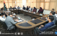 لجنة الصحة والبيئة بمجلس النواب تبحث مطالب العاملين بالقطاع