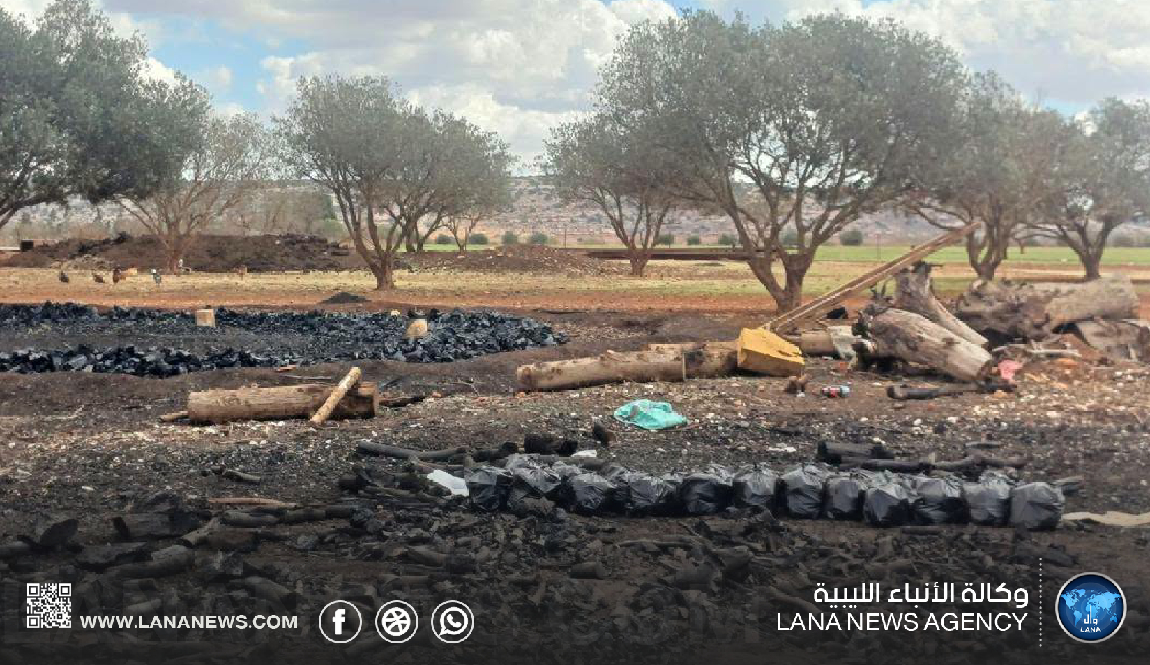 الشرطة الزراعية بالمرج تضبط مفحمتين داخل مزرعة